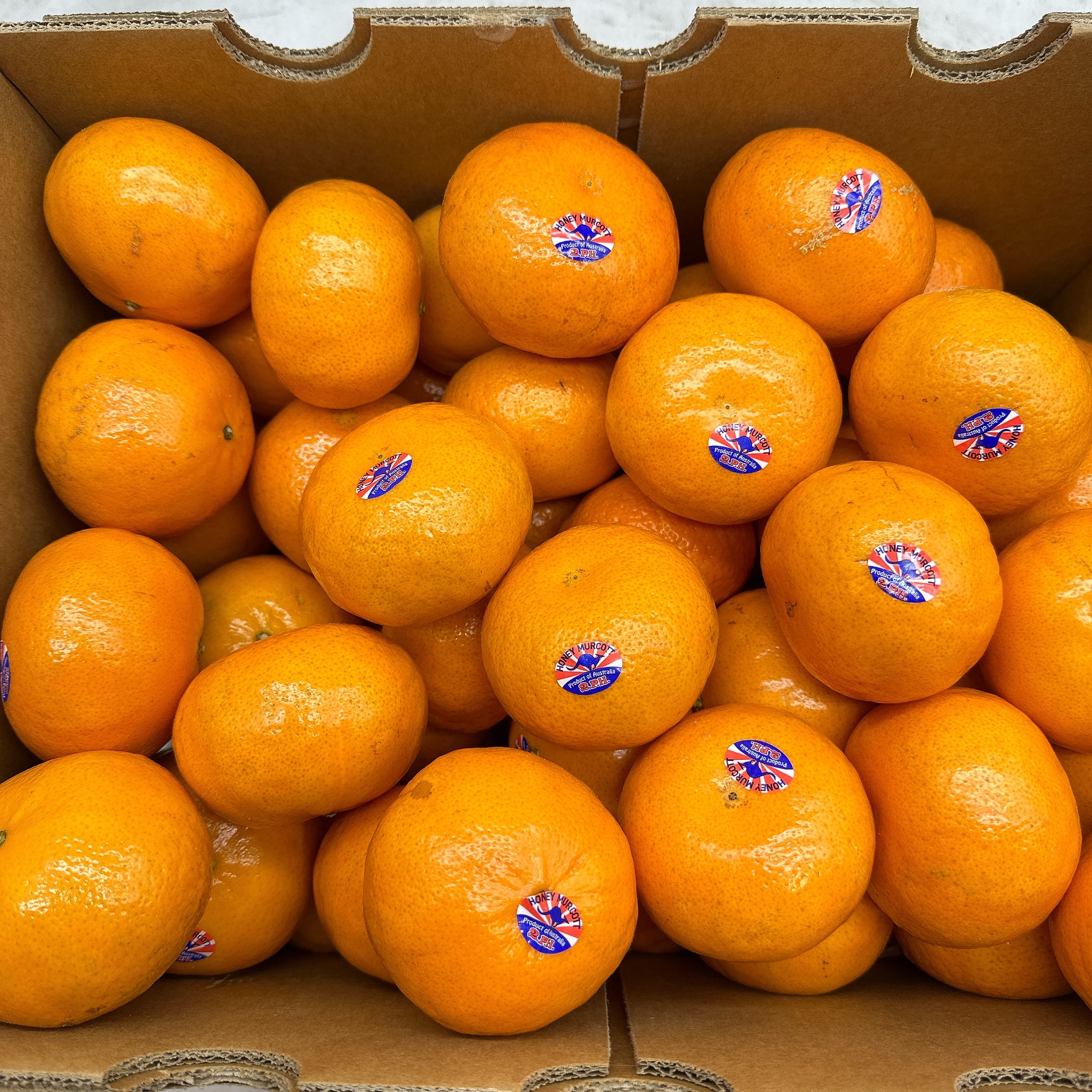 2PH Honey Murcott Mandarins 0.9kg - Image 2