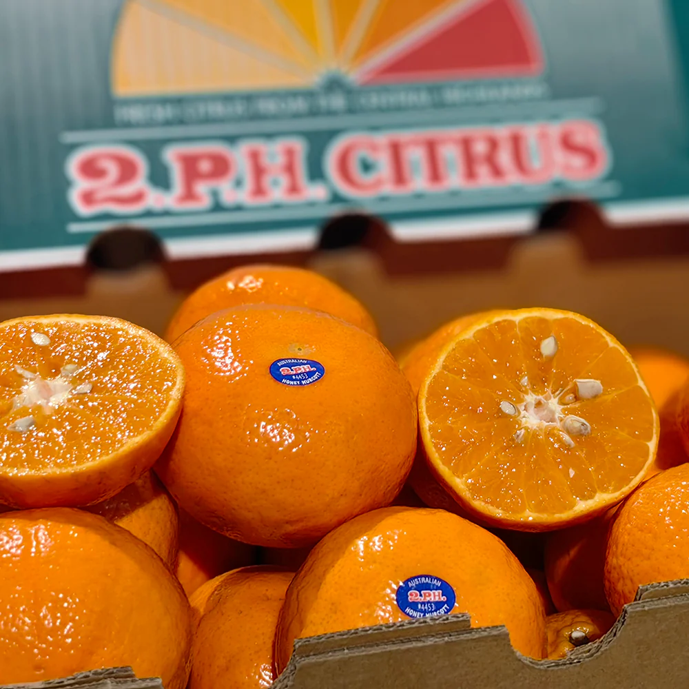 2PH Large Mikan 0.9kg - Image 2