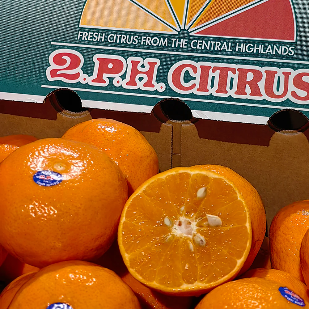 2PH Large Mikan 0.9kg - Image 3
