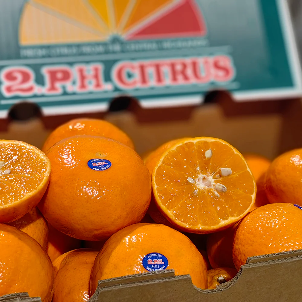 2PH Large Mikan 0.9kg - Image 4