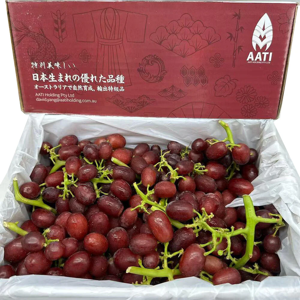 AATI Japanese Rose Muscat Grapes Gift Box - 2kg Carton