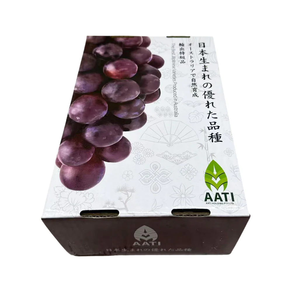 AATI Japanese Rose Muscat Grapes Gift Box - 2kg Carton - Image 2