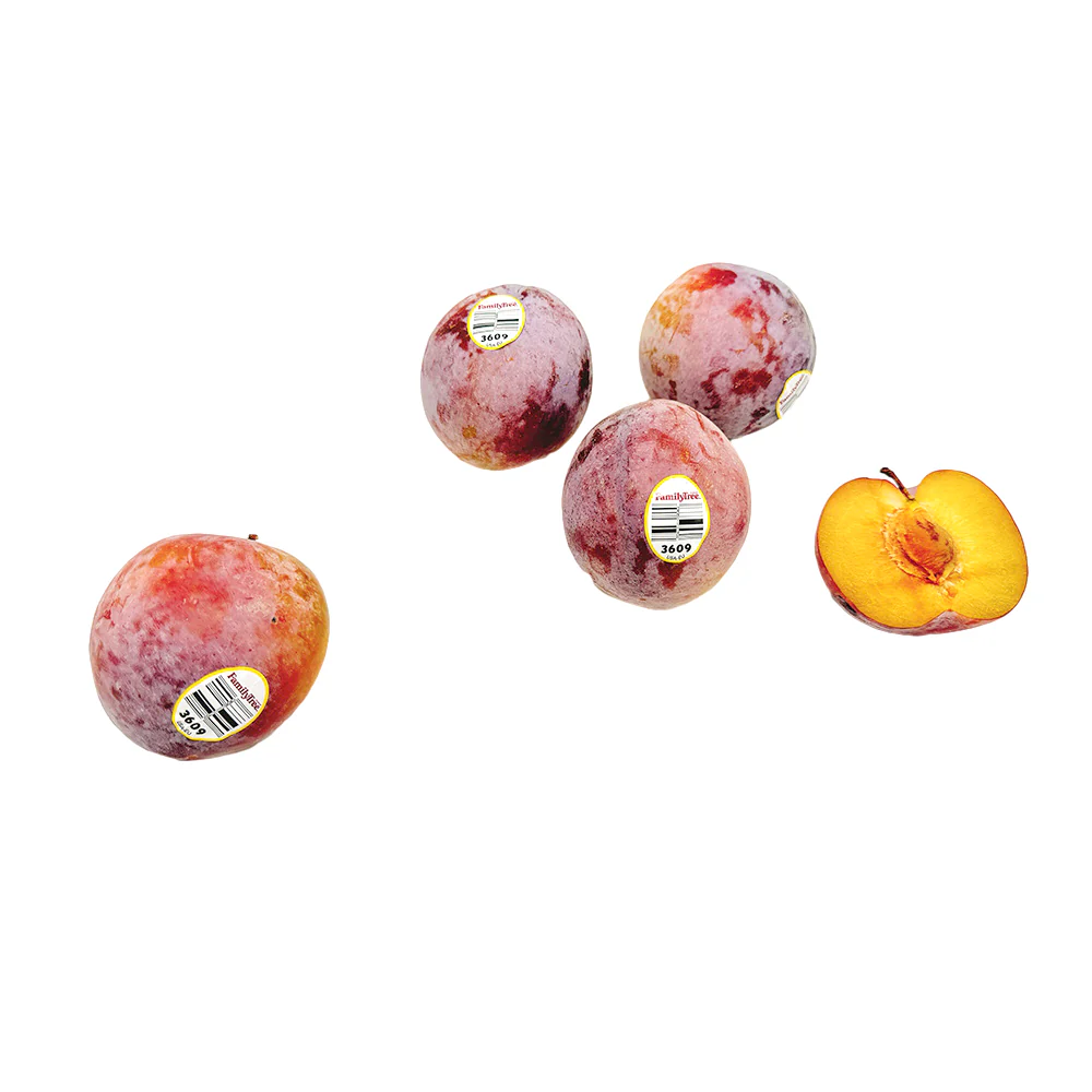 Air-Flown Dinosaur Egg Plums from USA - 4 Pieces - Image 2