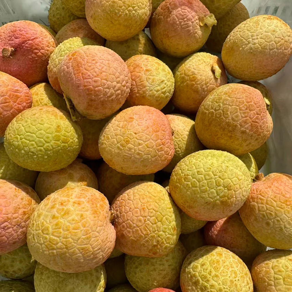 Air-Flown Vietnamese Lychees - 500g - Image 4