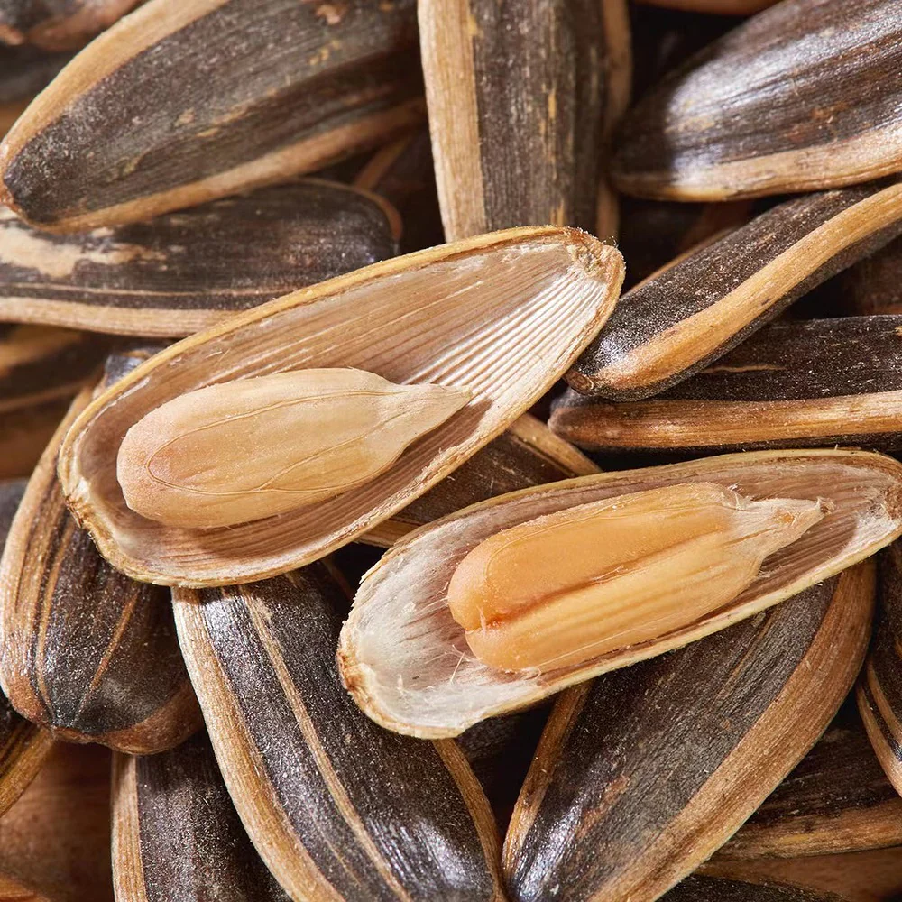 Aldi Delight Hickory Nut Flavor Sunflower Seeds 208g – Limited Import - Image 3