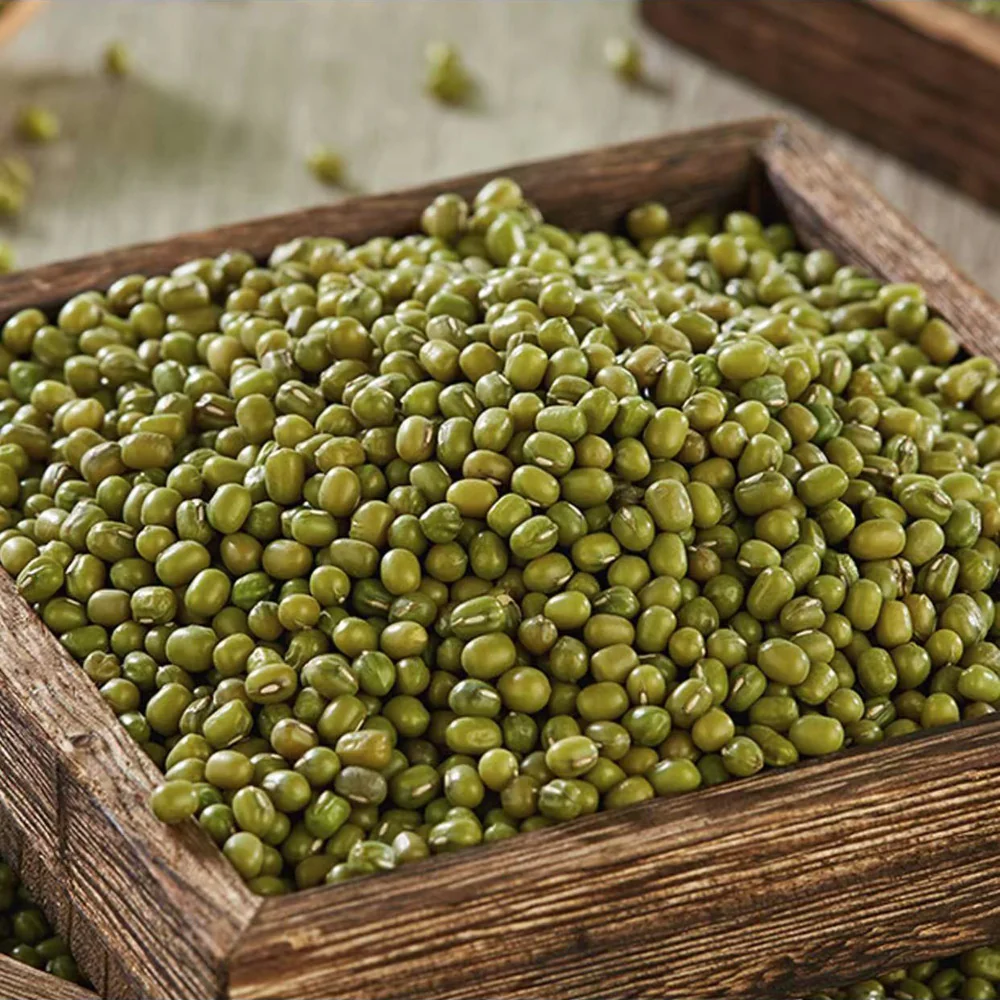 ALDI Organic Northeastern Mung Beans 1kg – Limited Import - Image 2