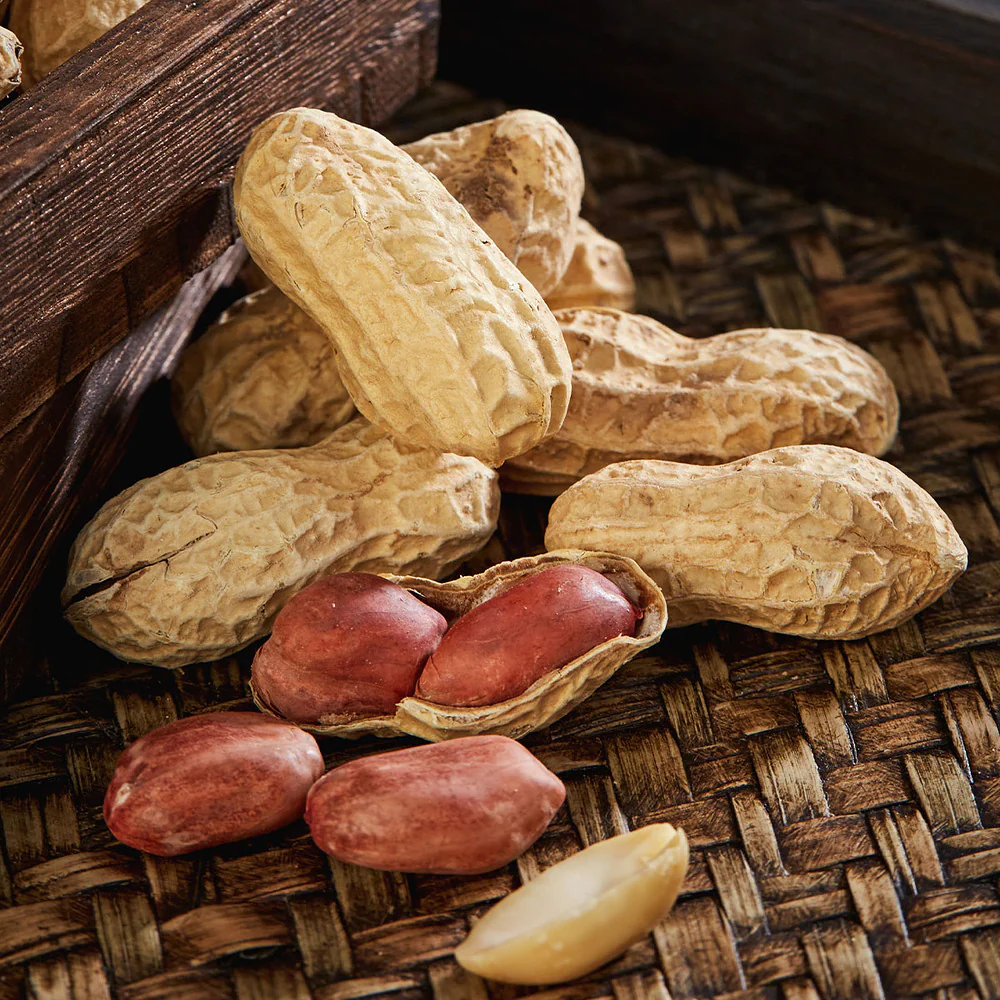 Aldi Value Salted Peanuts with Shell 428g – Limited Import - Image 4