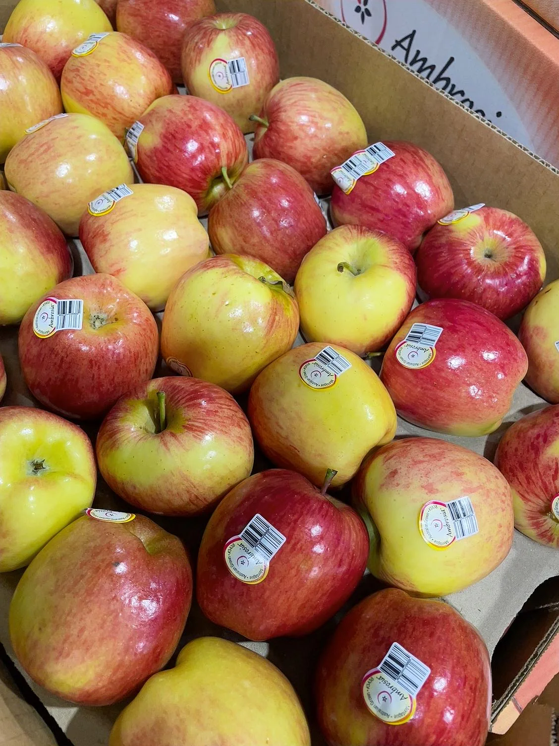 Ambrosia Sweet and Crisp Apples - 1.1kg - Image 3