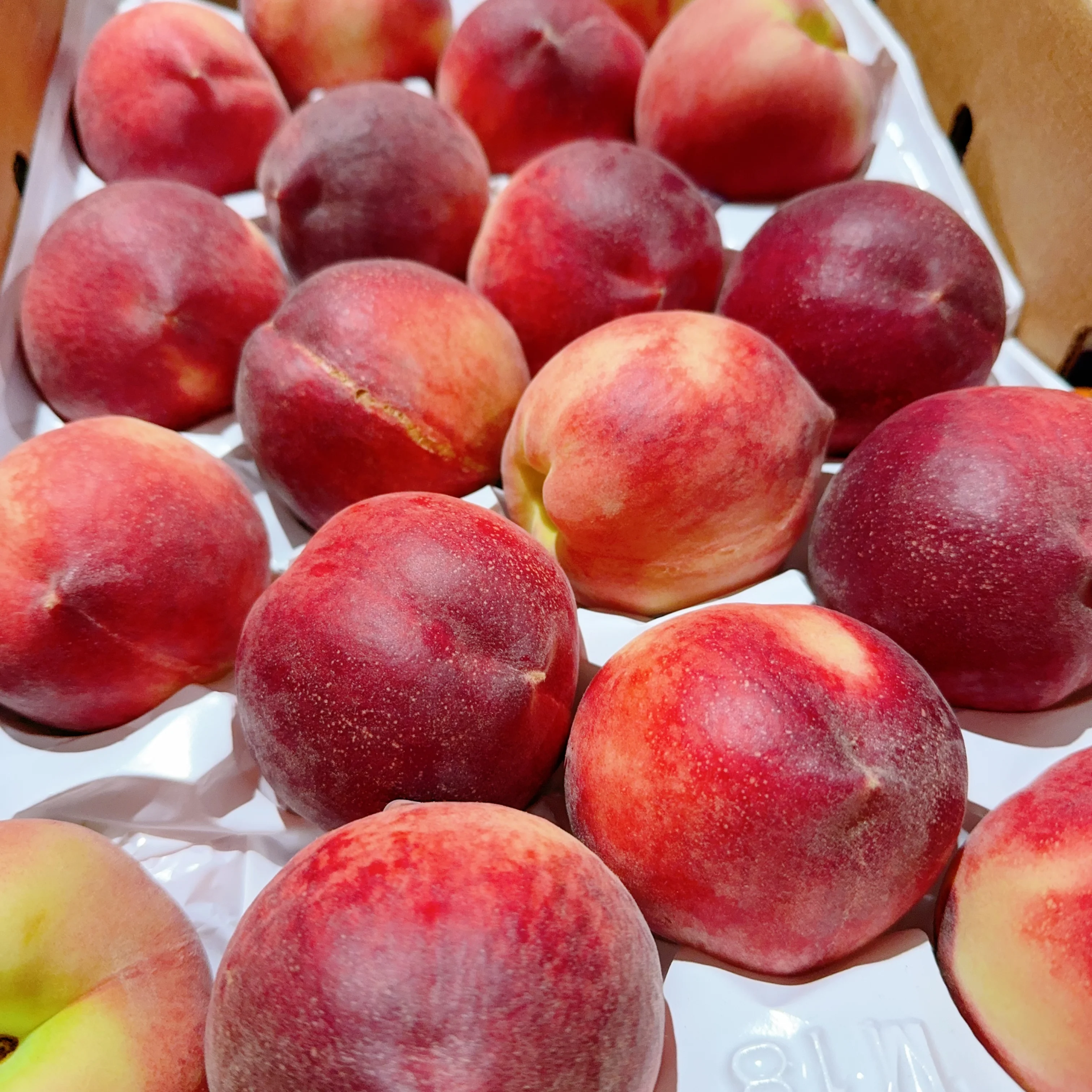 American Peaches - 2 Pieces - Image 2