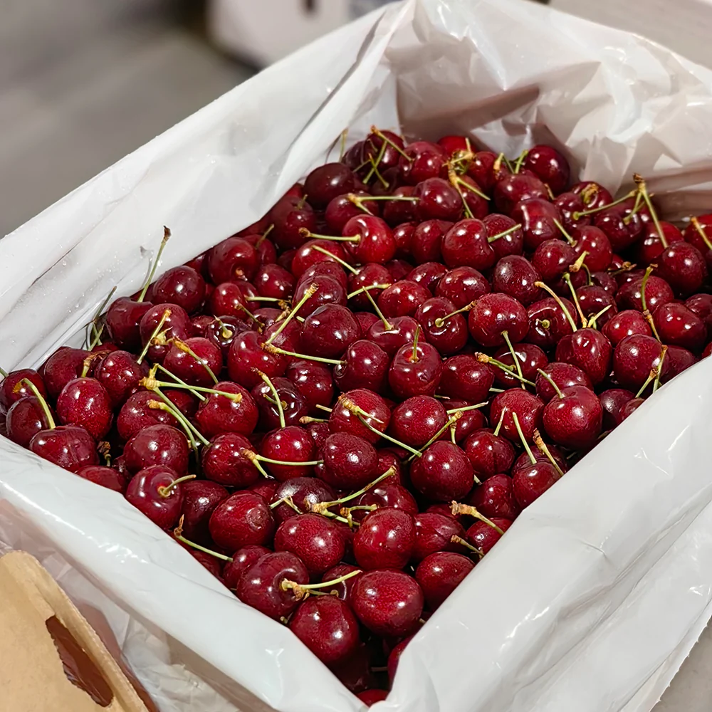 American Red Cherries 9.5r  500g - Image 2