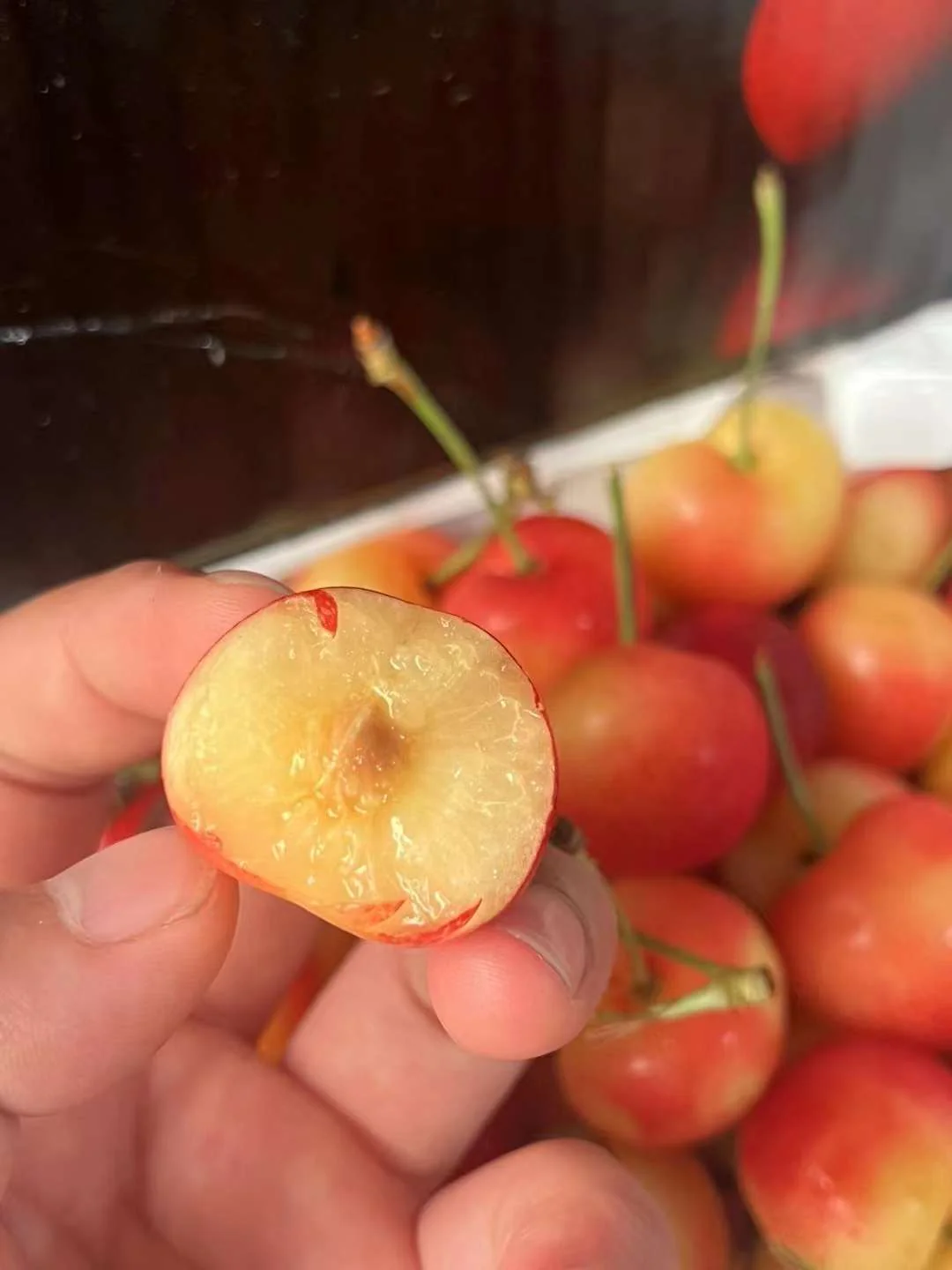 American Yellow Cherries - 500g - Image 3