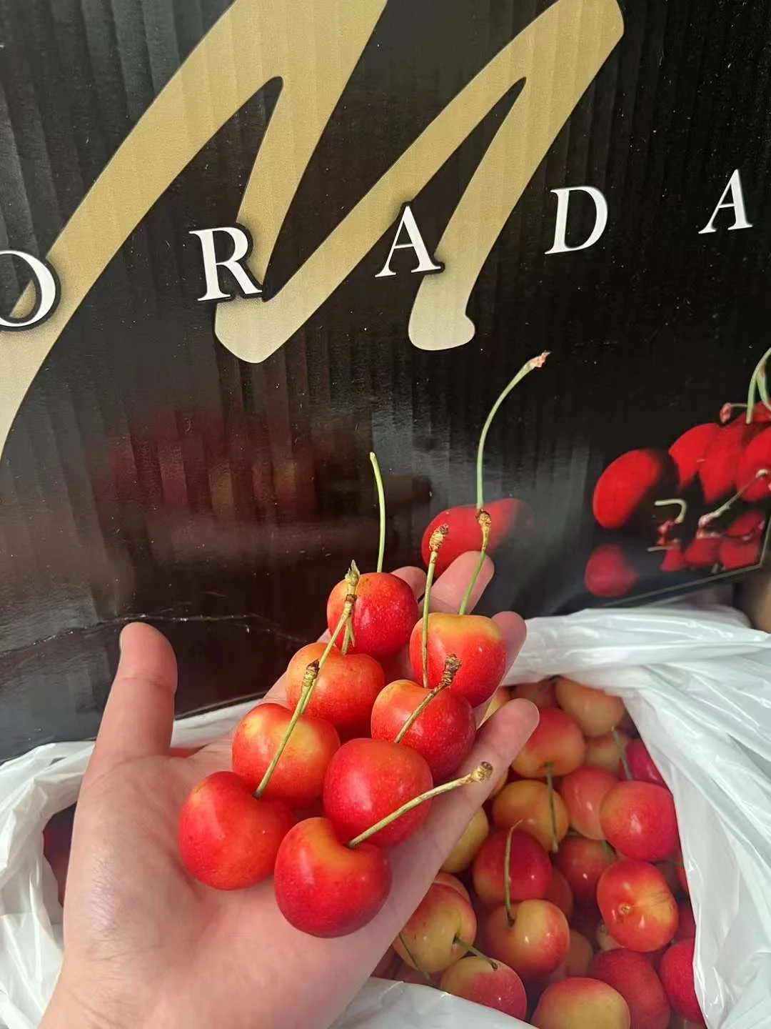 American Yellow Cherries - 500g - Image 4