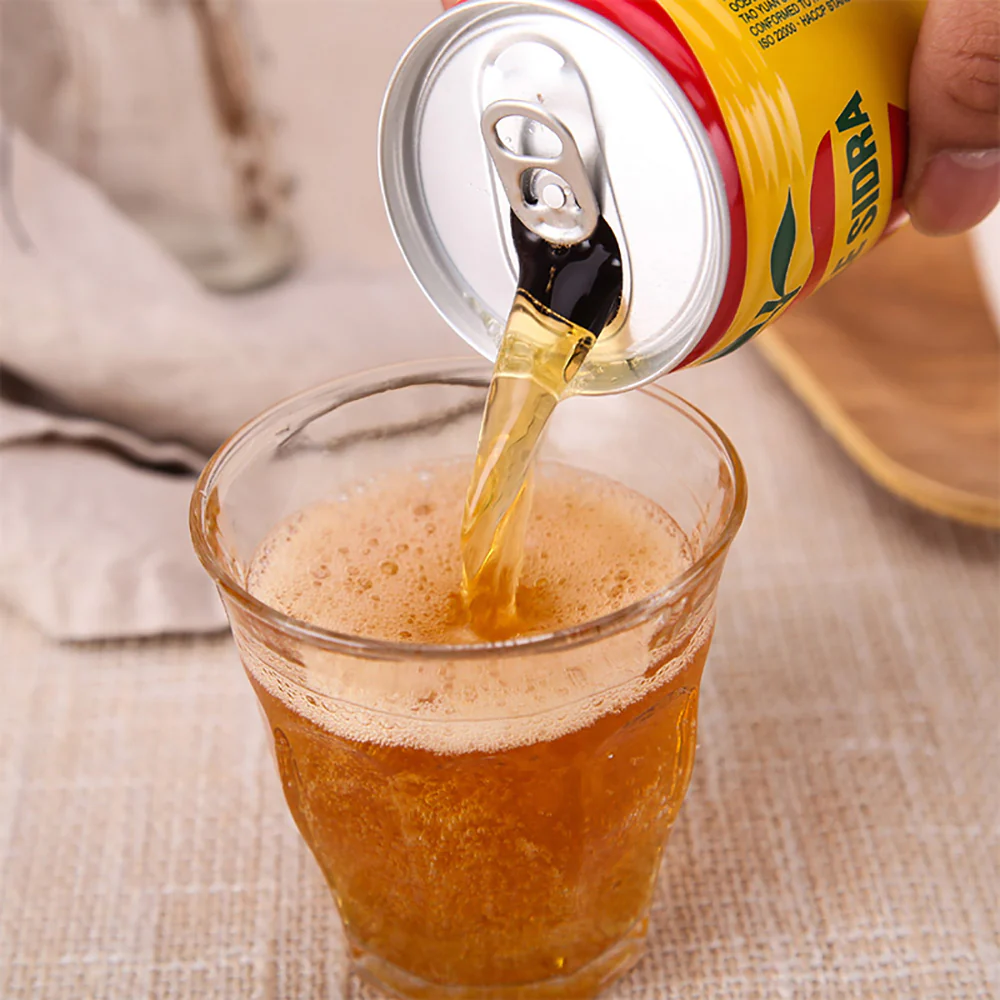 Apple Sidra Sparkling Apple Drink - 300ml - Image 2