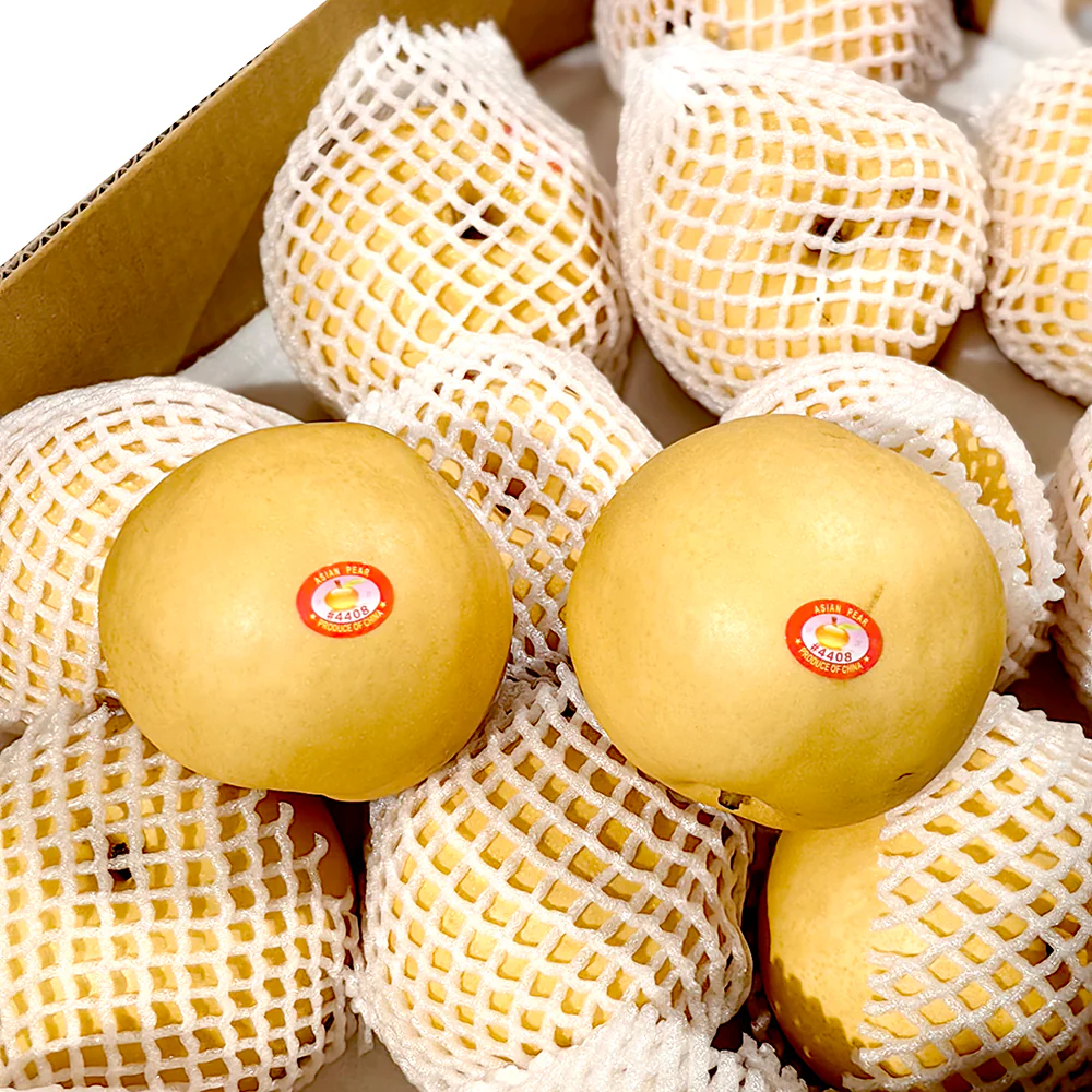 Asian Autumn Moon Pear - 1kg - Image 3