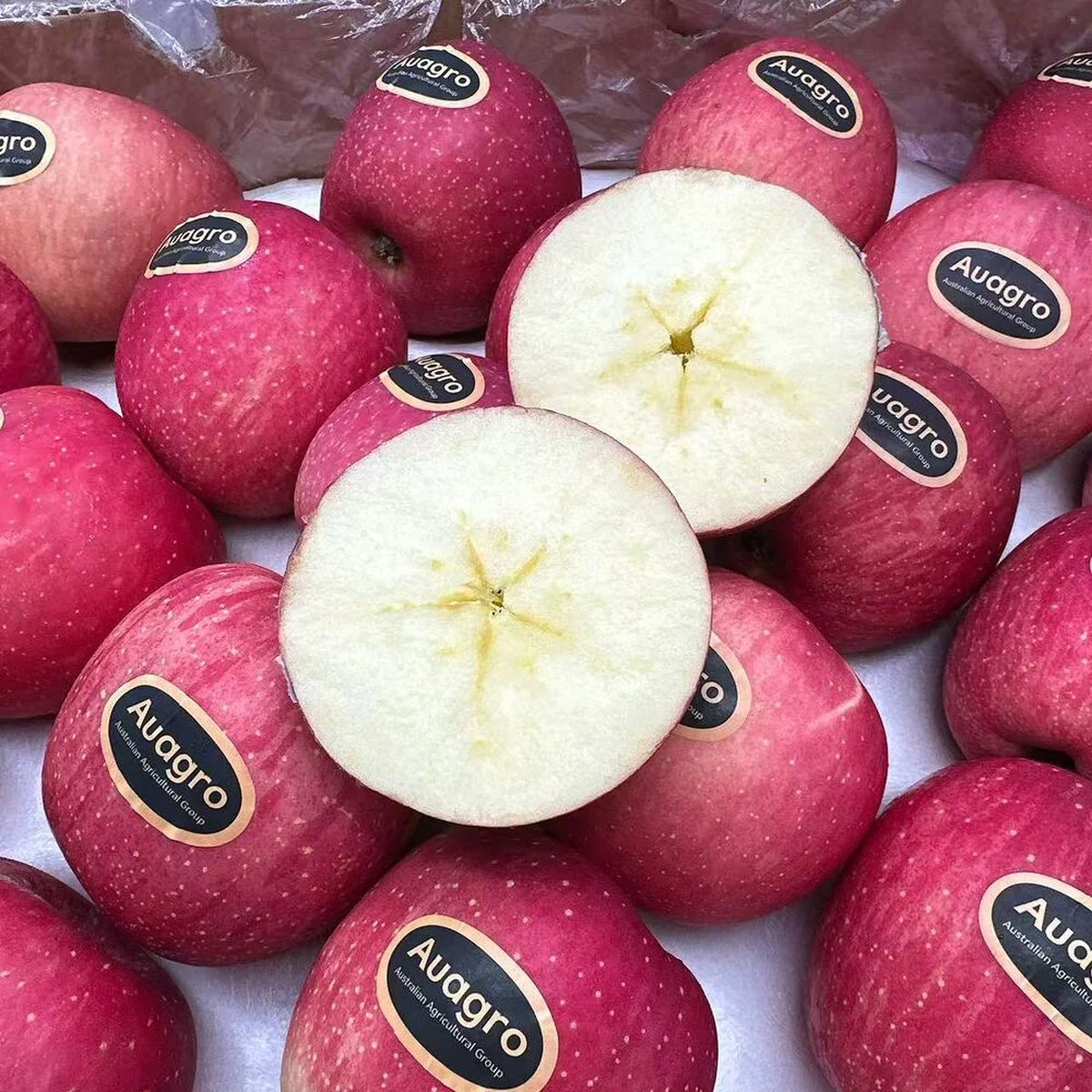 Auagro Gansu Red Fuji Apples 1kg