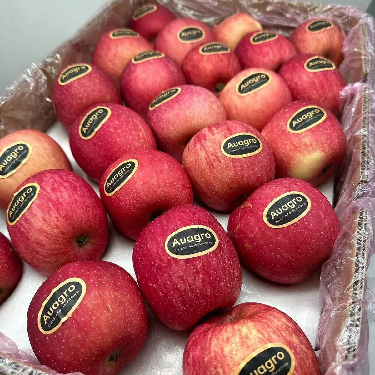 Auagro Gansu Red Fuji Apples 1kg - Image 5