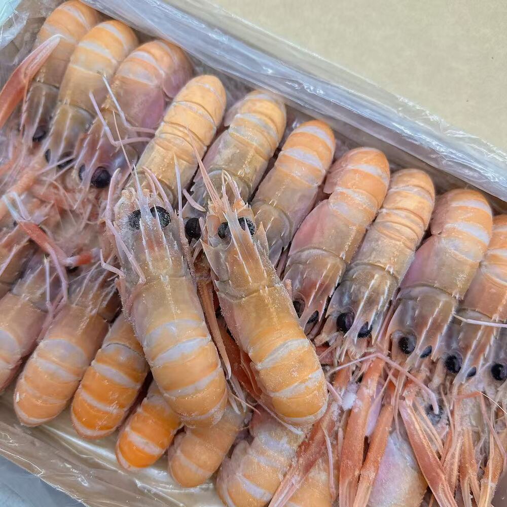Austfish Export Grade Wild Scampi (Langoustine) No.4 – 1kg Box