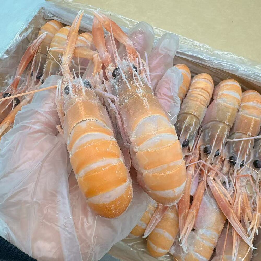 Austfish Export Grade Wild Scampi (Langoustine) No.4 – 1kg Box - Image 2