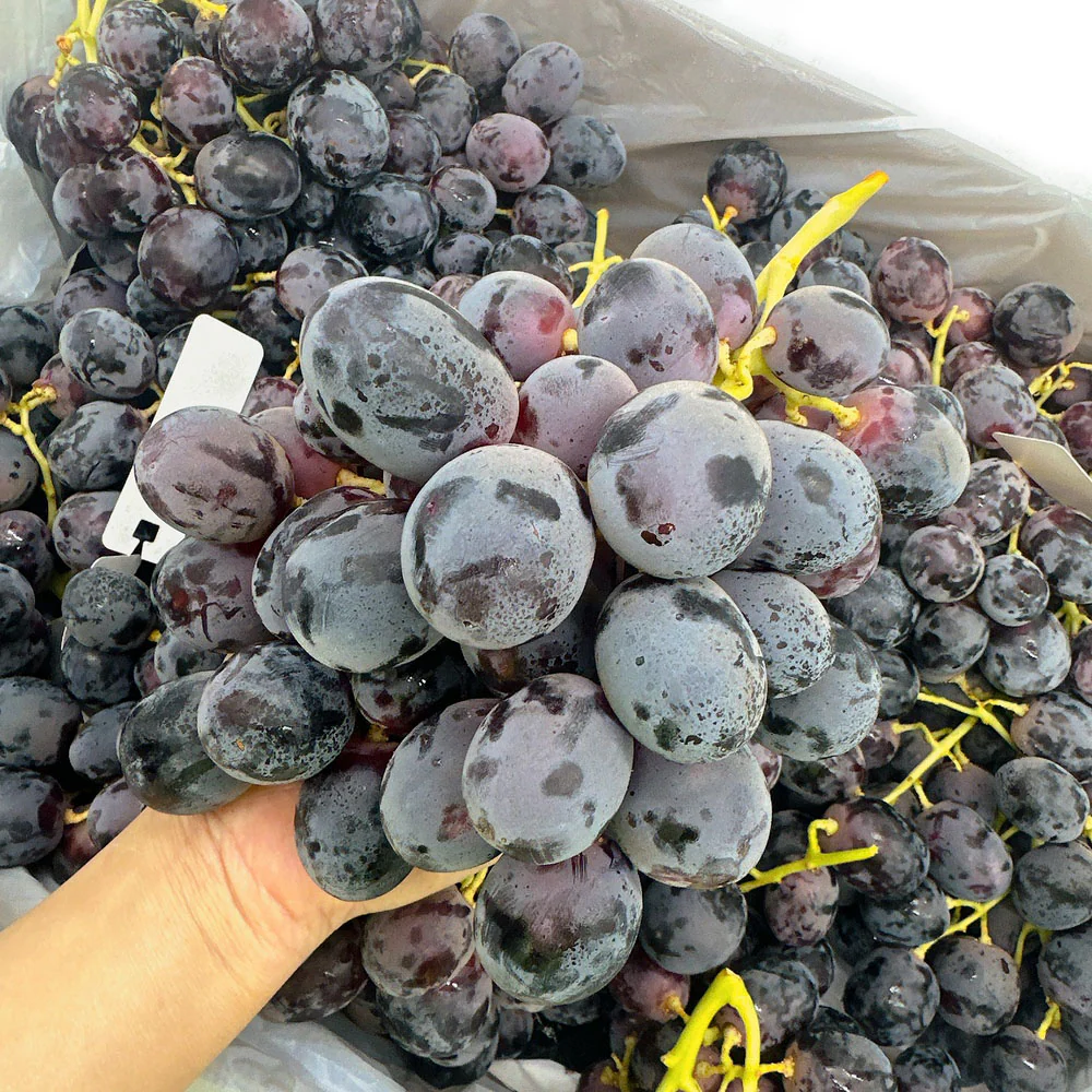Australian Adora Black Grapes from Golden Gate Farm - Box of 9kg - Image 2