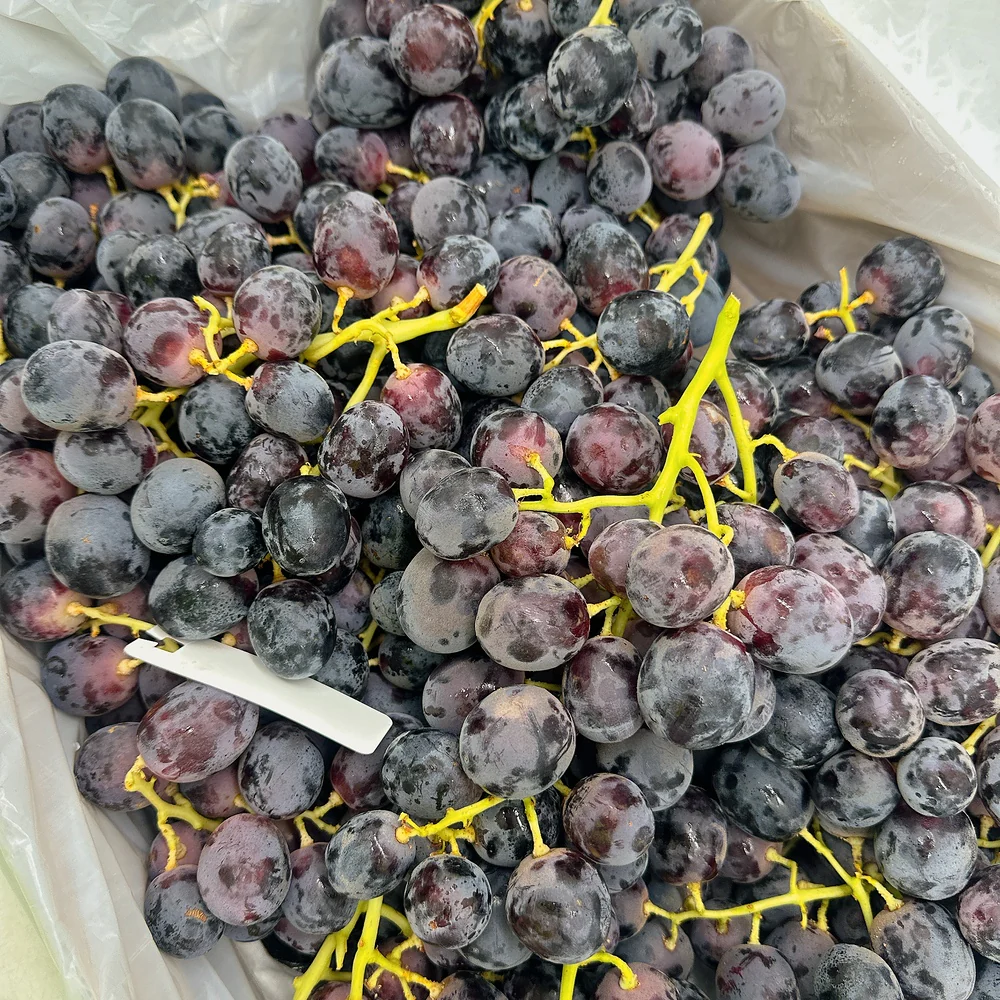 Australian Adora Black Grapes from Golden Gate Farm - Box of 9kg - Image 3