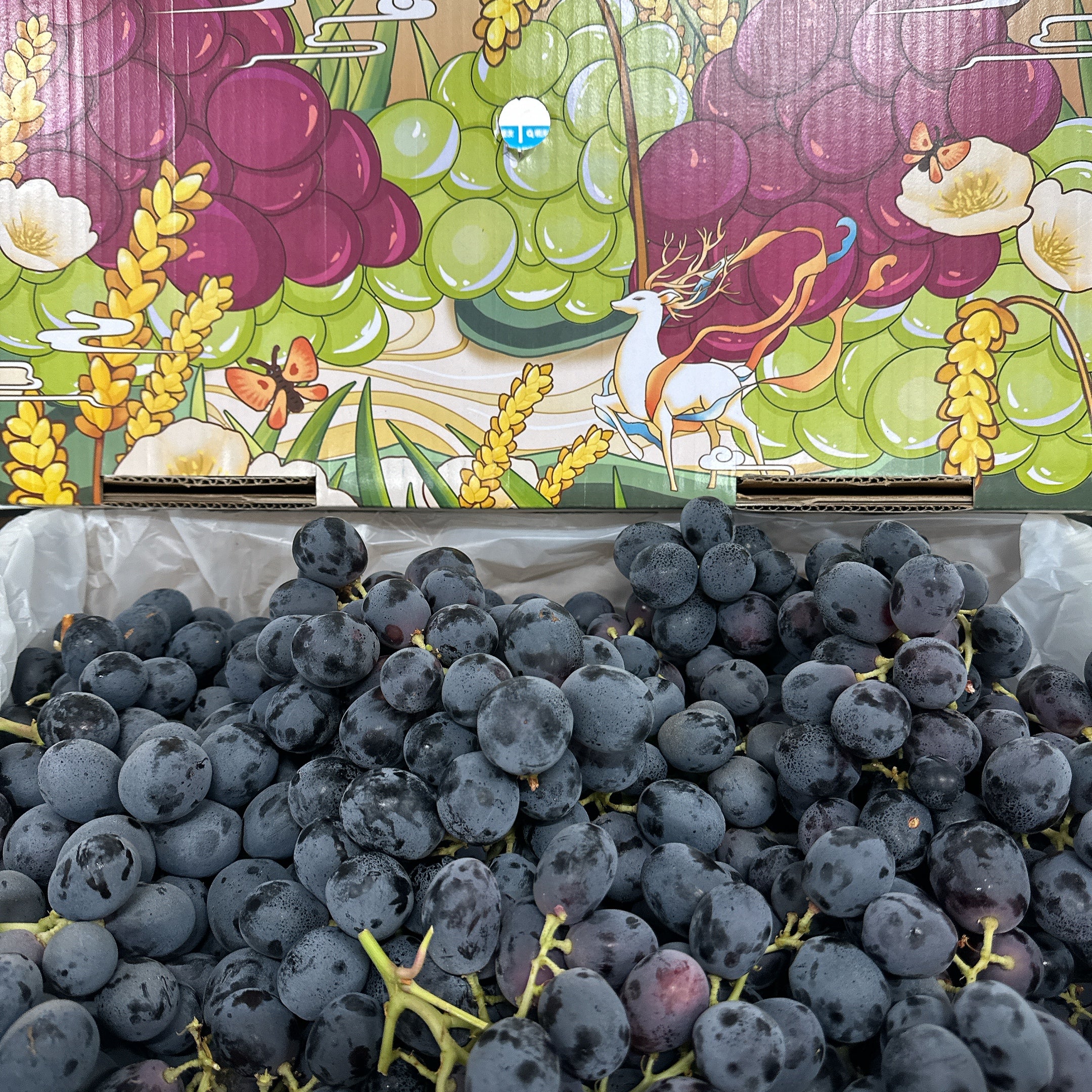 Australian Adora Black Seedless Grapes - 900g - Image 2