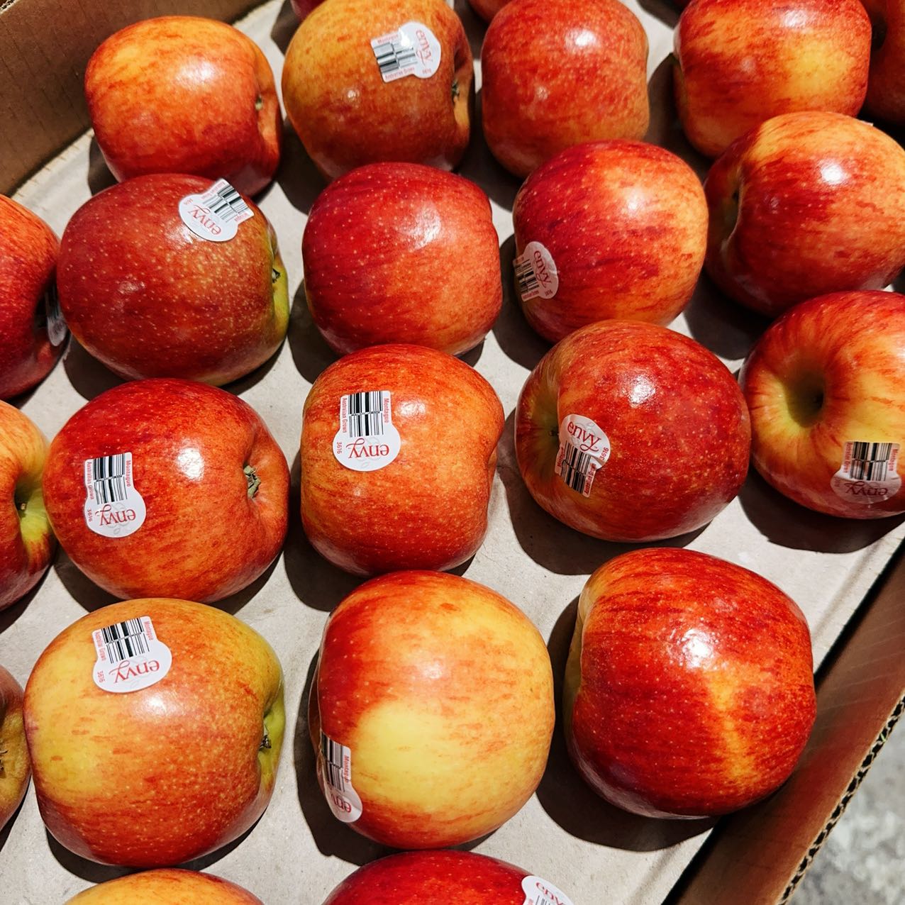 Australian Envy Apples - 1kg - Image 2