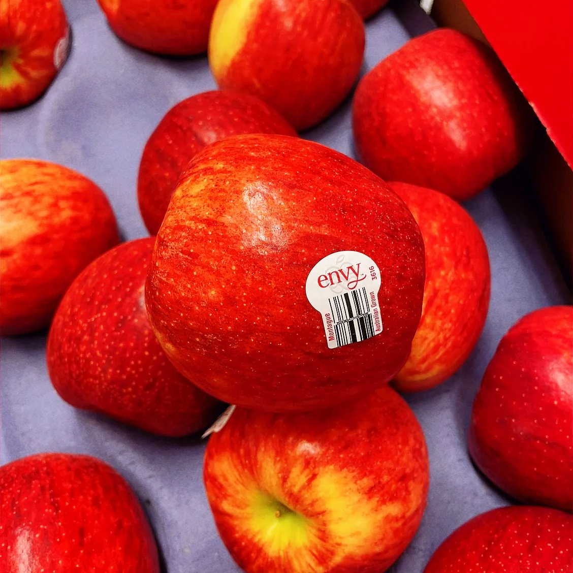 Australian Envy Apples - 2 Pieces - Image 2