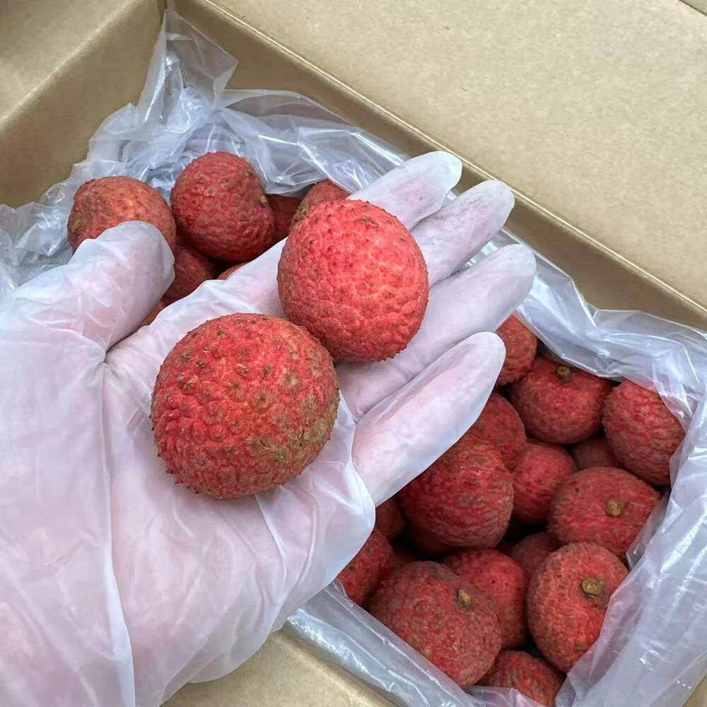 Australian Kaimana Lychee XL – 2kg - Image 5