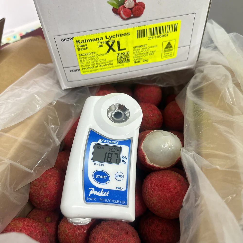 Australian Kaimana Lychees - 500g - Image 2