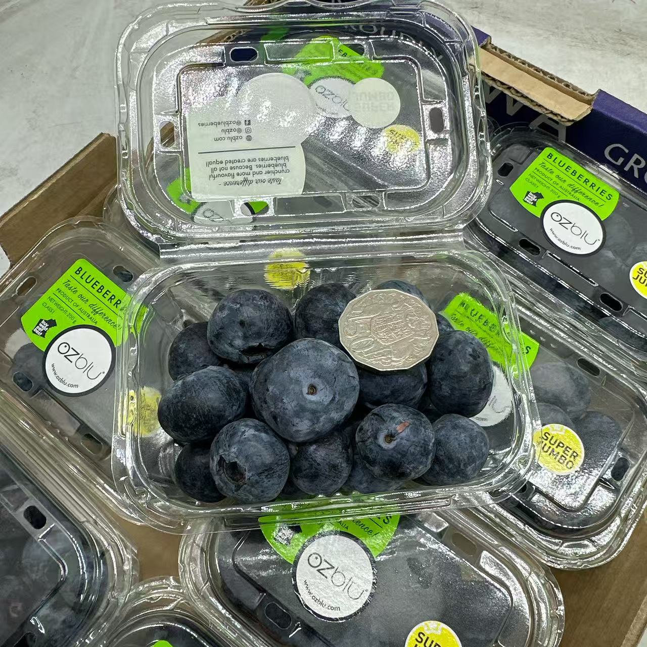 Australian OZblu Super Jumbo Blueberries – 200g Punnet