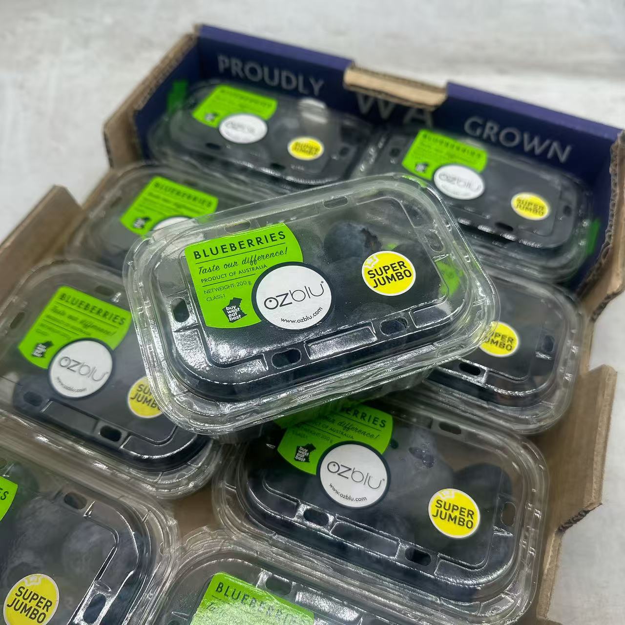 Australian OZblu Super Jumbo Blueberries – 200g Punnet - Image 3