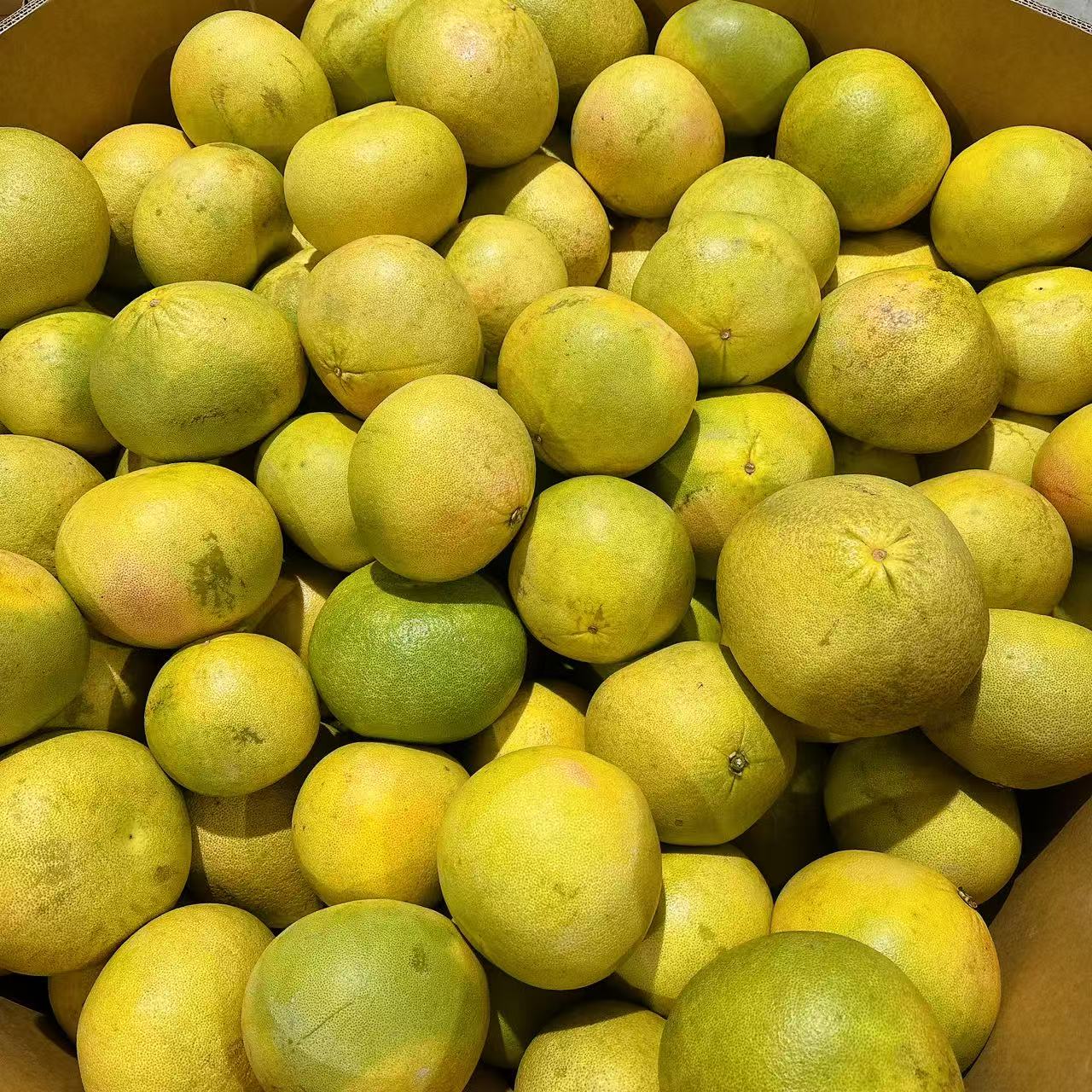 Queensland Red-Flesh Shatian Pomelo - 1 Piece 0.8kg