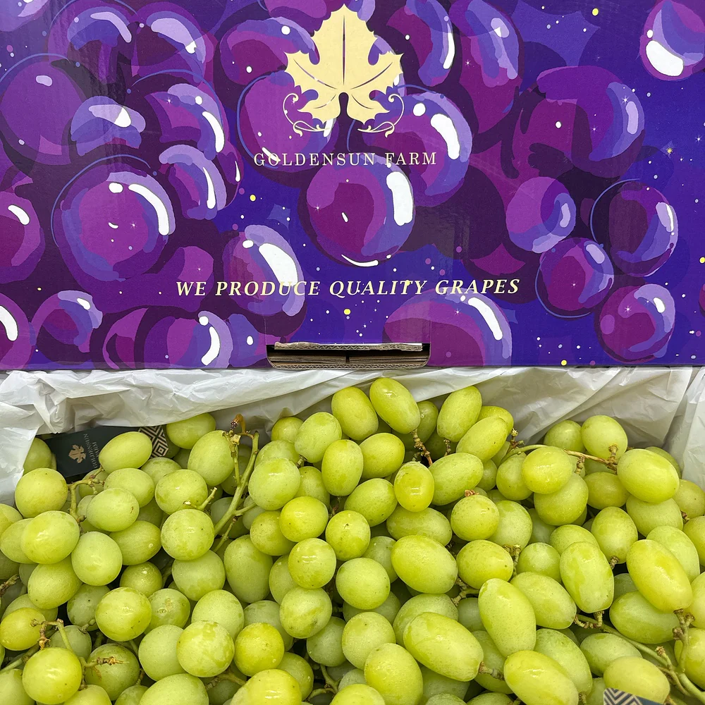 Australian Shine Muscat Grapes - 900g - Image 2
