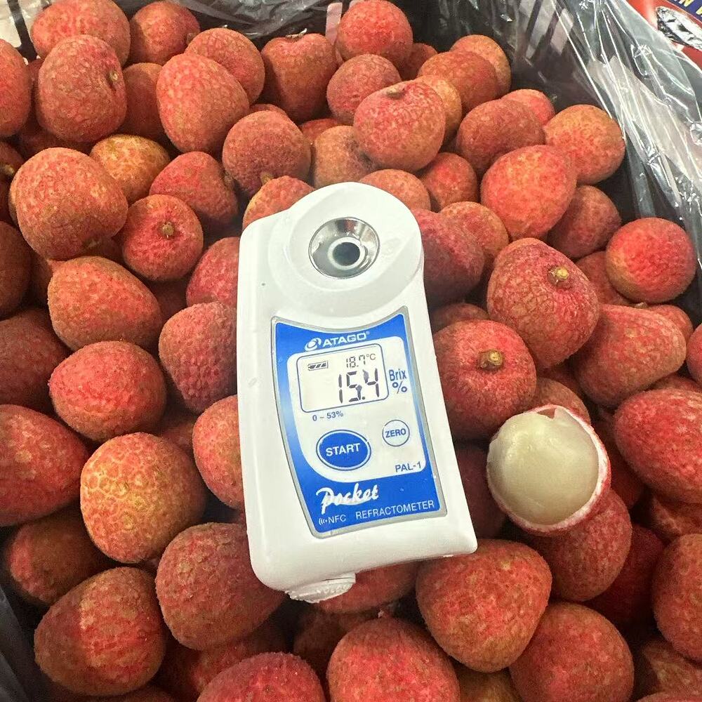 Australian Souey Tung Lychees - 5kg Carton - Image 2