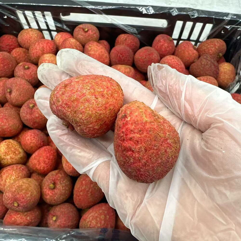 Australian Souey Tung Lychees - 5kg Carton - Image 3