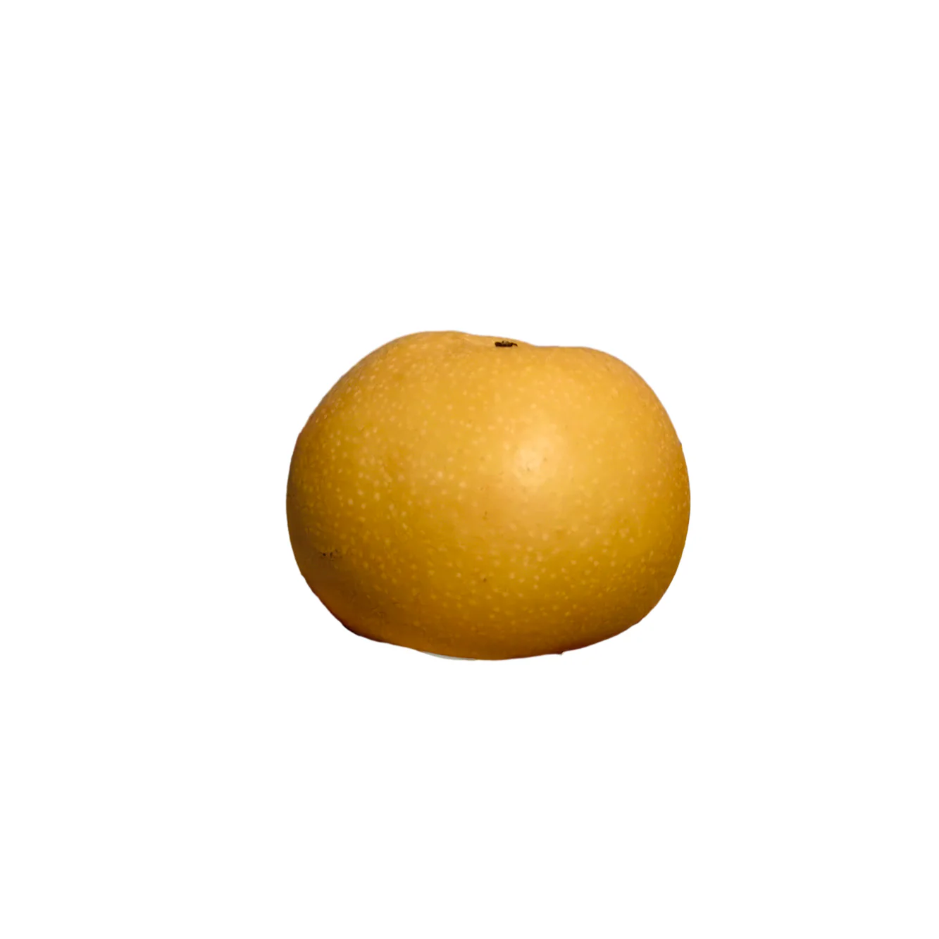 Autumn Moon Pears - Box of 9, 5kg - Image 2