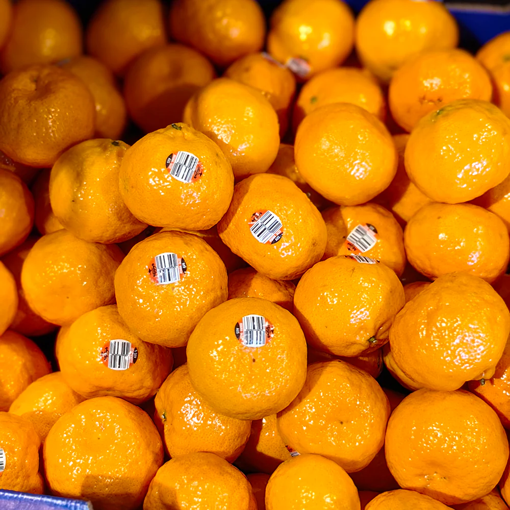 Avana Sweet Oranges - 1kg - Image 2