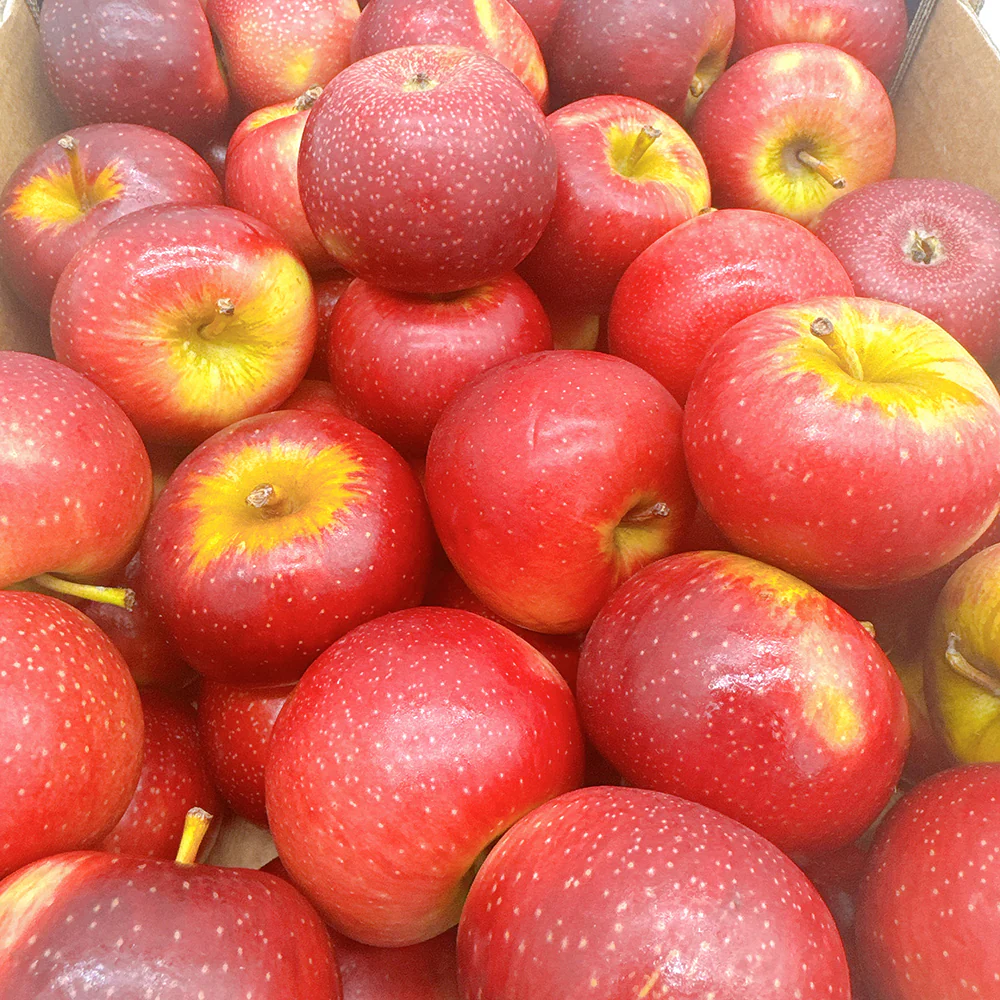 Baby Bravo Apples - 1kg - Image 2
