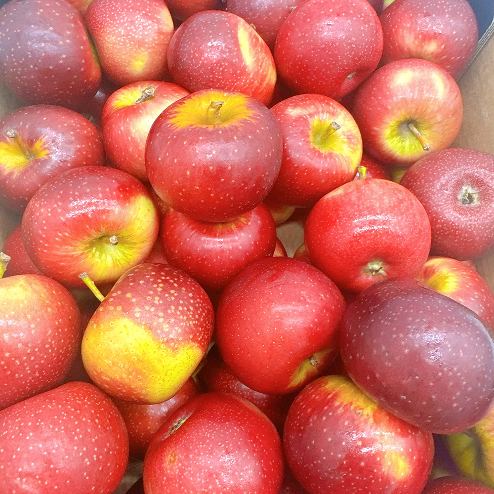 Baby Bravo Apples - Box of 5kg - Image 2