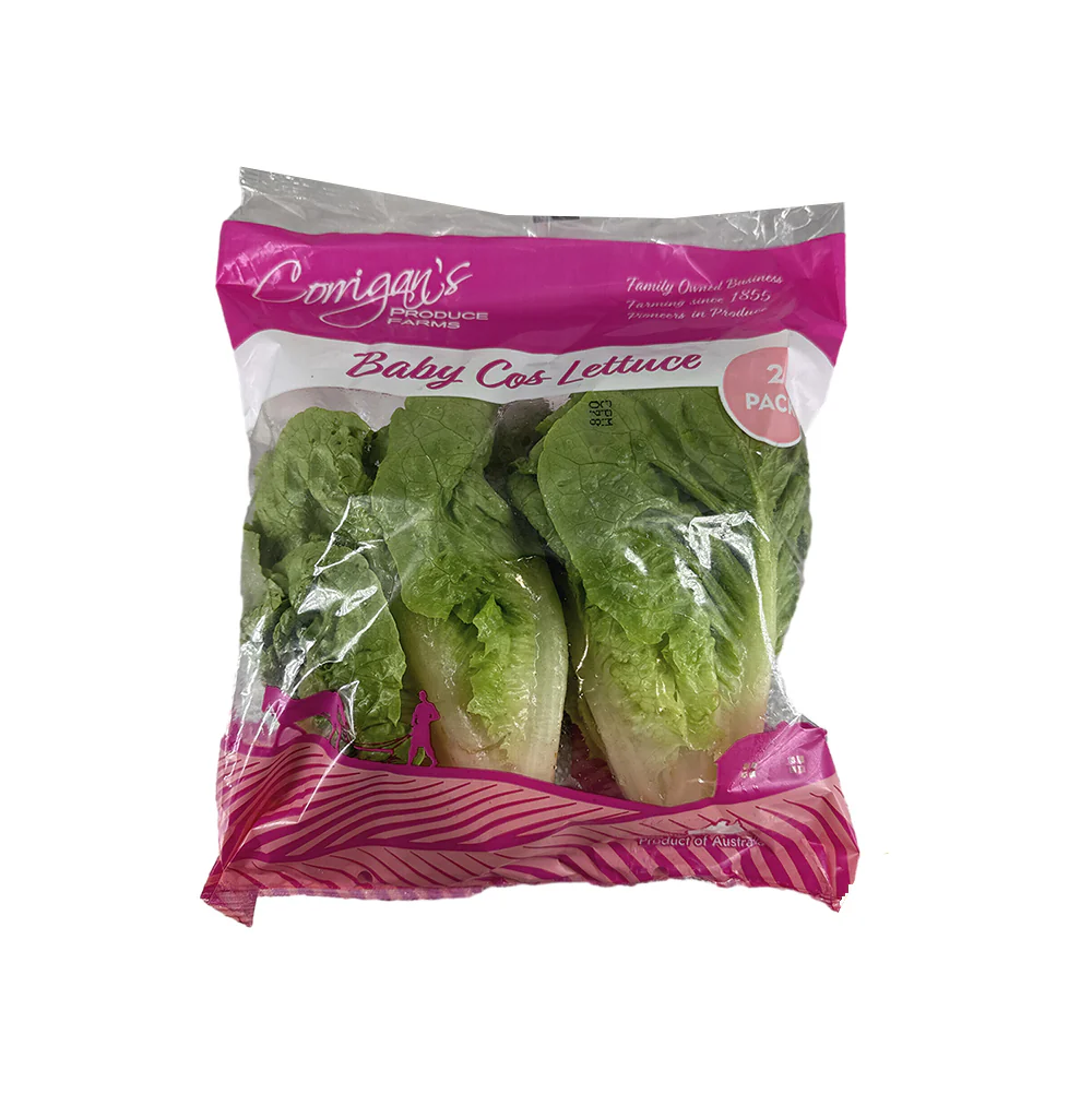 Baby Cos Lettuce - 2 Pack - Image 2