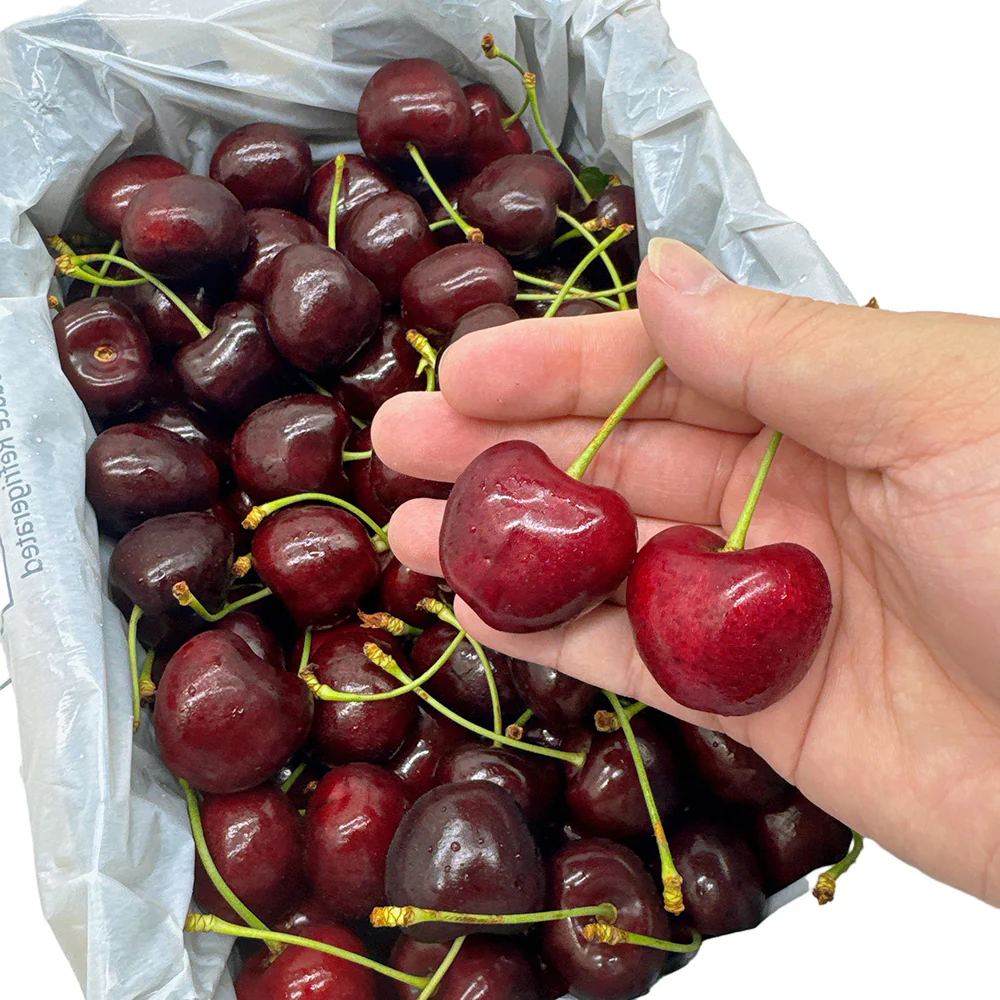 Back Creek-Regina Cherries Gift Box 32-34mm - 2kg - Image 2