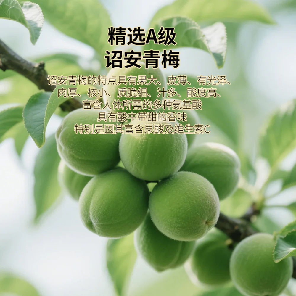 Baisinate Green Plum & Grape Dried Fruit Bites 240g - Image 3