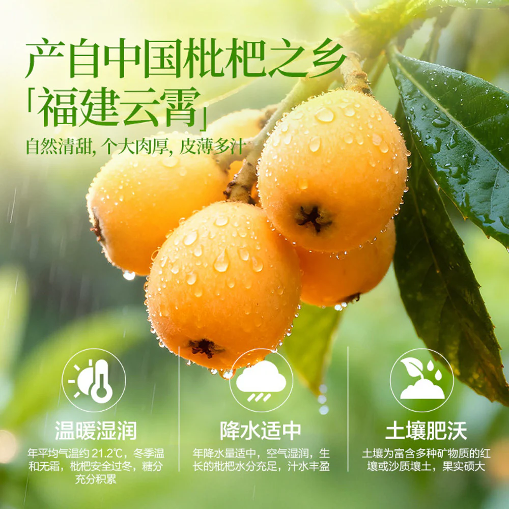 BESTORE Bamboo Salt Dried Loquat 200g - Image 2