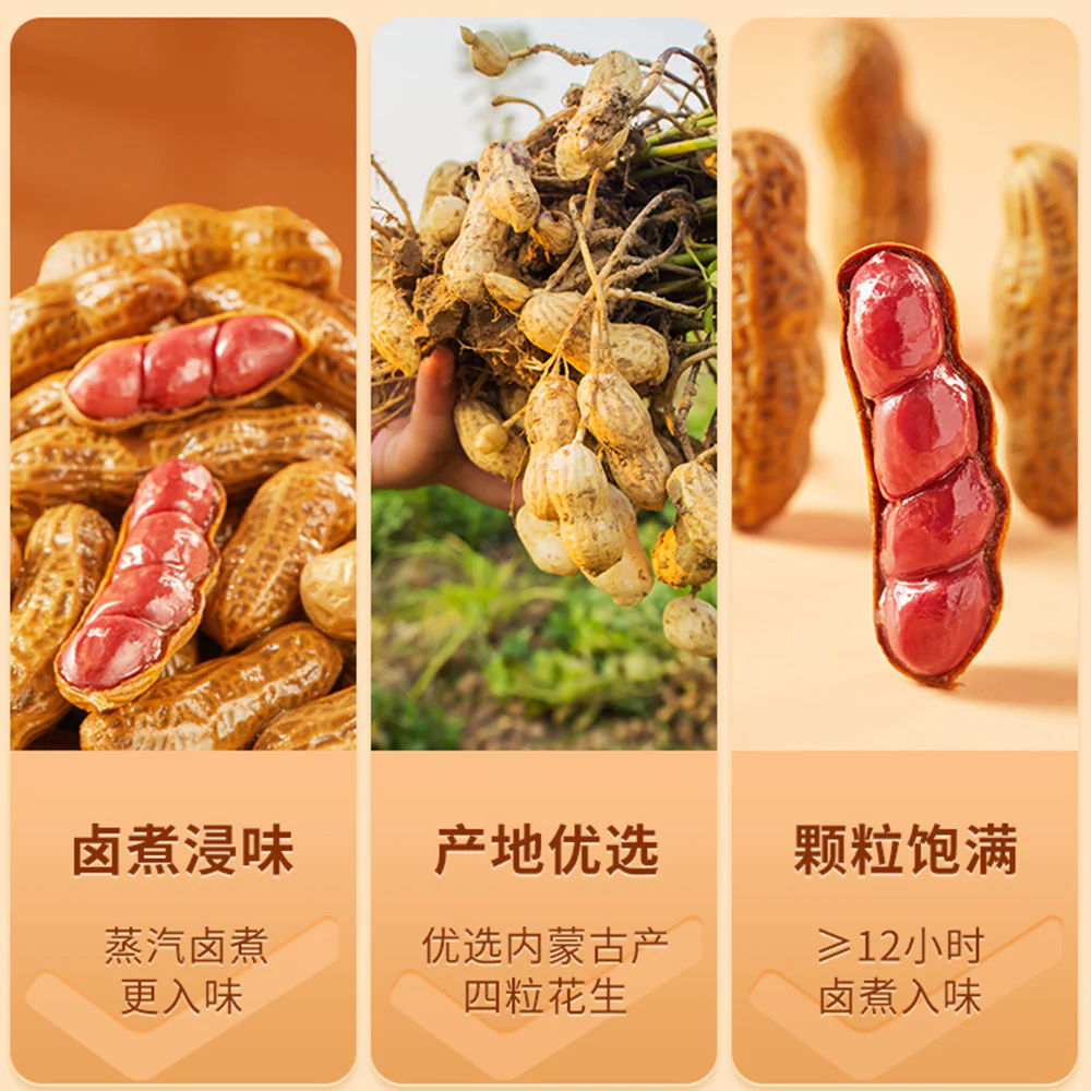 Bestore Braised Peanuts - 268g - Image 3