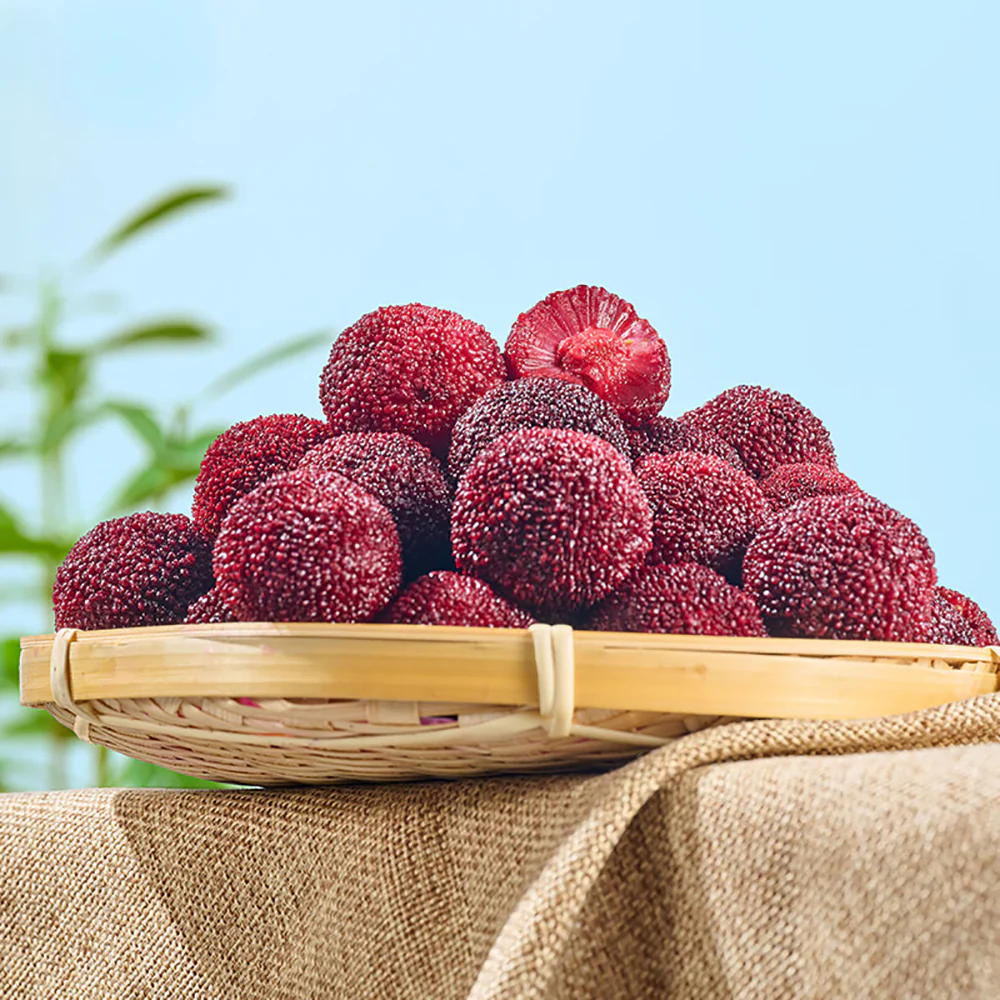 Bestore Dried Dongkui Bayberry - 85g - Image 3