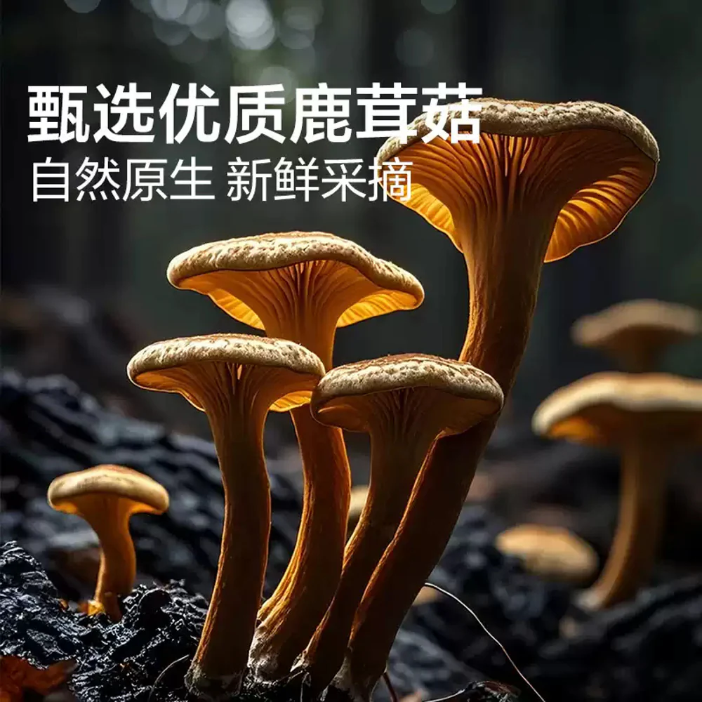 Bestore Spicy Velvet Shank Mushrooms 92g – Chinese Spicy Mushroom Jerky Snack - Image 3