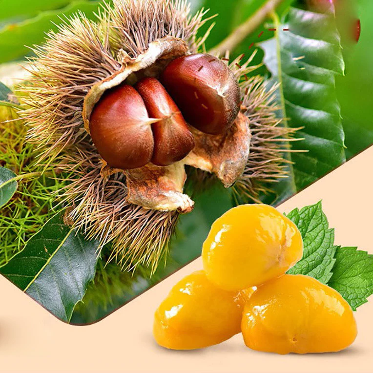 Bestore Sweet Chestnut Kernels - 100g - Image 2