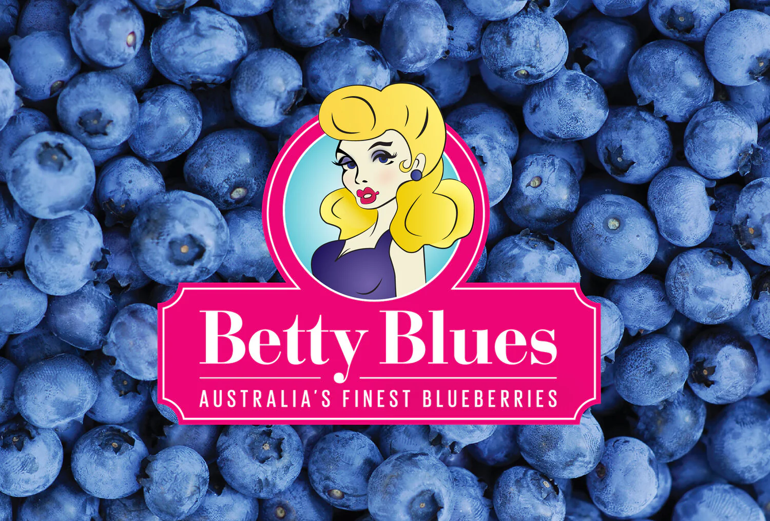 Betty Blues Blueberries - 125g - Image 3