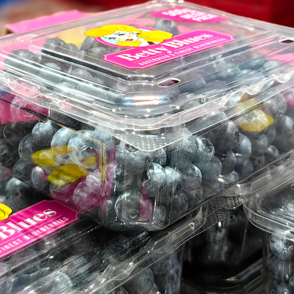 Betty Blues Blueberries - 500g - Image 2