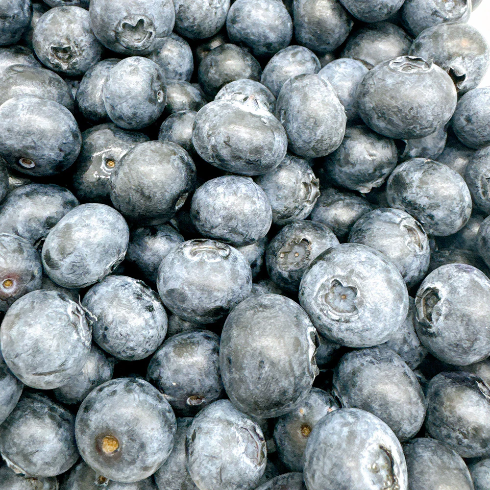 Betty Blues Blueberries - 500g - Image 3